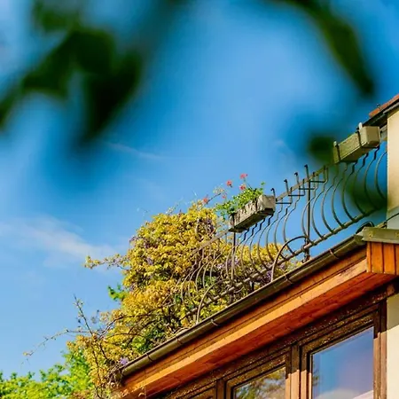 Bauernhof Woltron Farm stay Wurflach